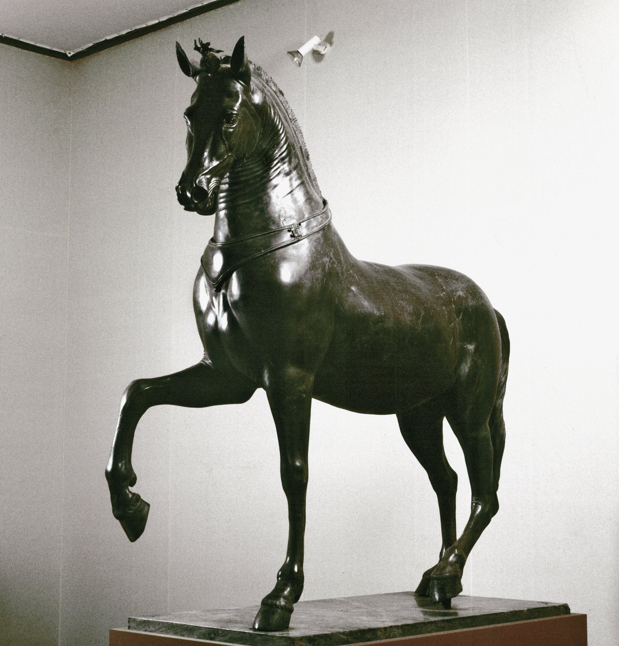 Římské umění: socha koně (socha koně) socha z 1. století (bronz) od Roman