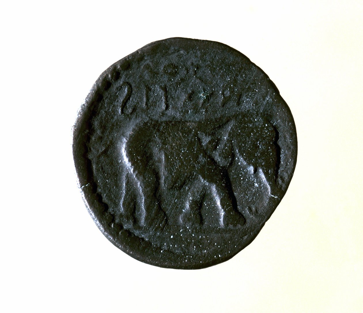 Kartágská mince představující slona. 3. nebo 2. století před naším letopočtem. od Roman