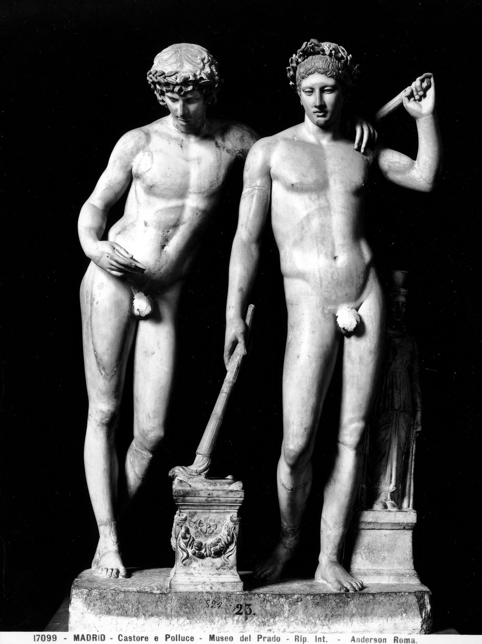 Castor a Pollux nebo Orestes a Pylades, skupina ze San Ildefonso (mramor) (černobílá fotografie) od Roman