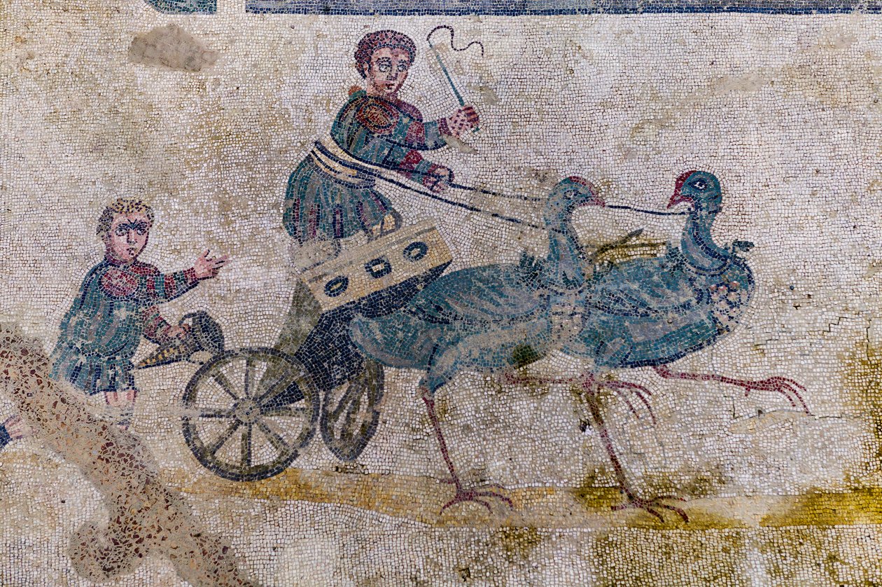 Závod vozatajů s tabulkami taženými ptáky (mozaika) od Roman