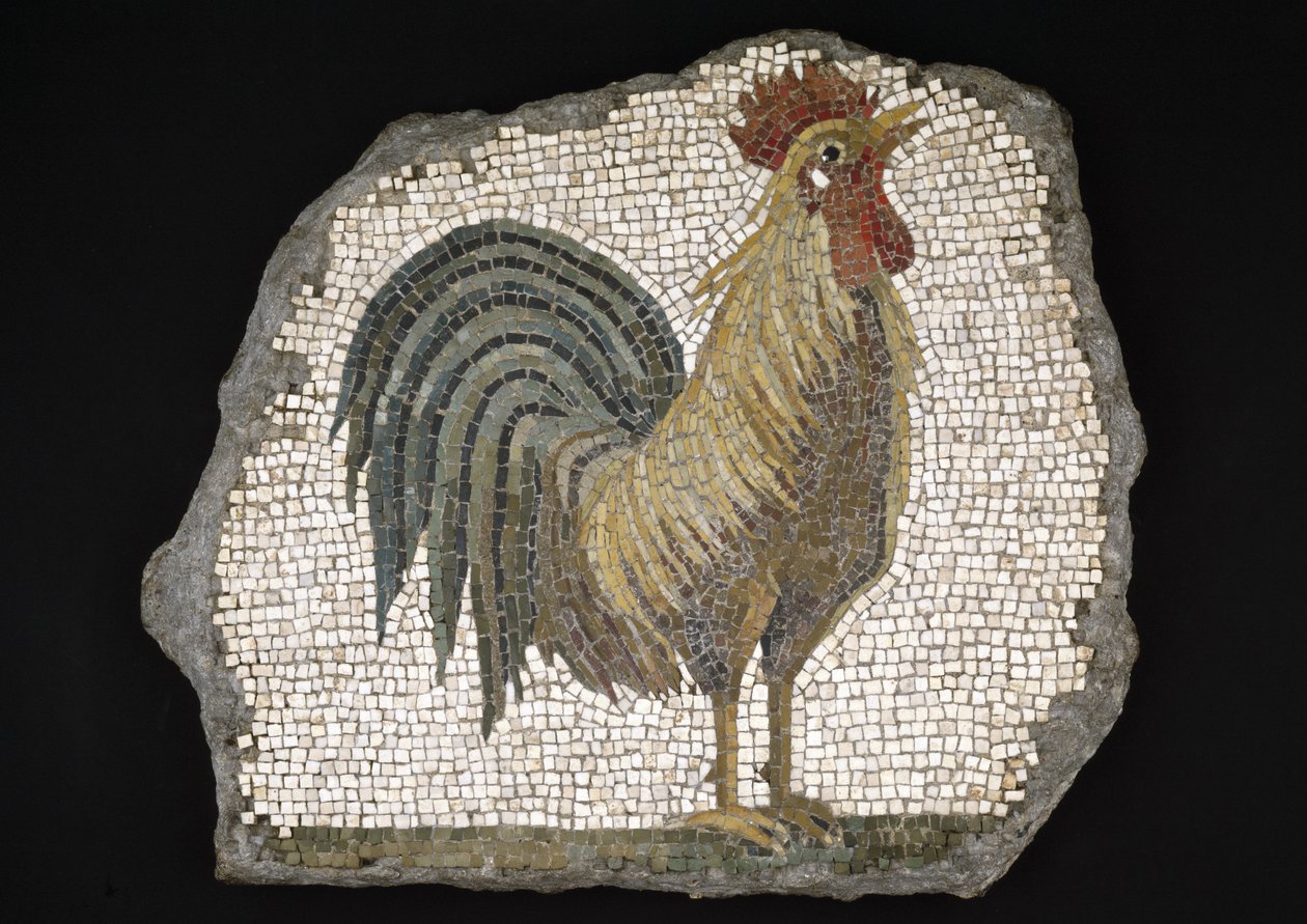 Kohout (mozaika) od Roman