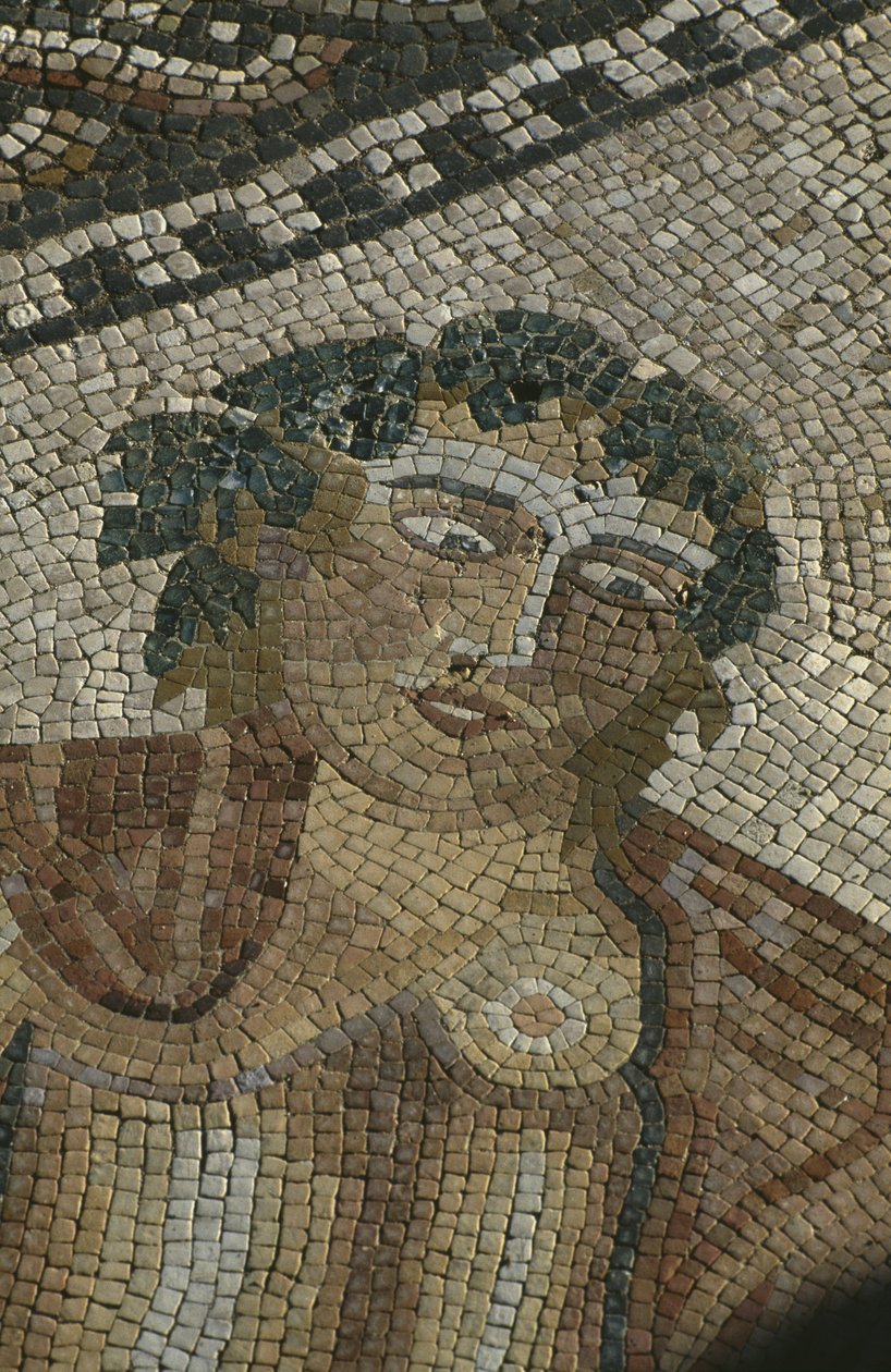 Dionysos objevuje spící Ariane, detail, hlava Baccha, Dům 