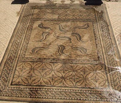 Delfíni, římská mozaika z rodu Orfeů, 3. století našeho letopočtu (mozaika) od Roman