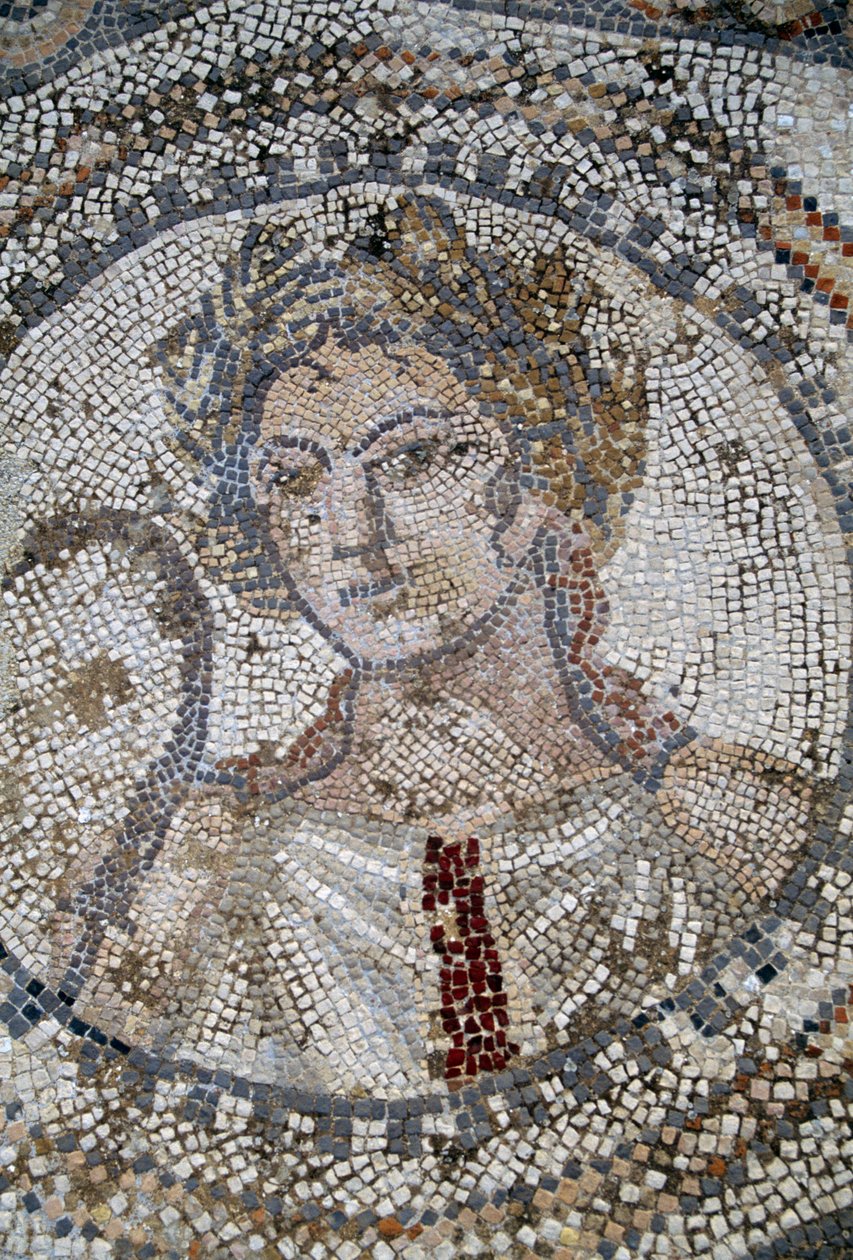 Ženská tvář, mozaika v římském městě Volubilis (Seznam světového dědictví UNESCO od Roman