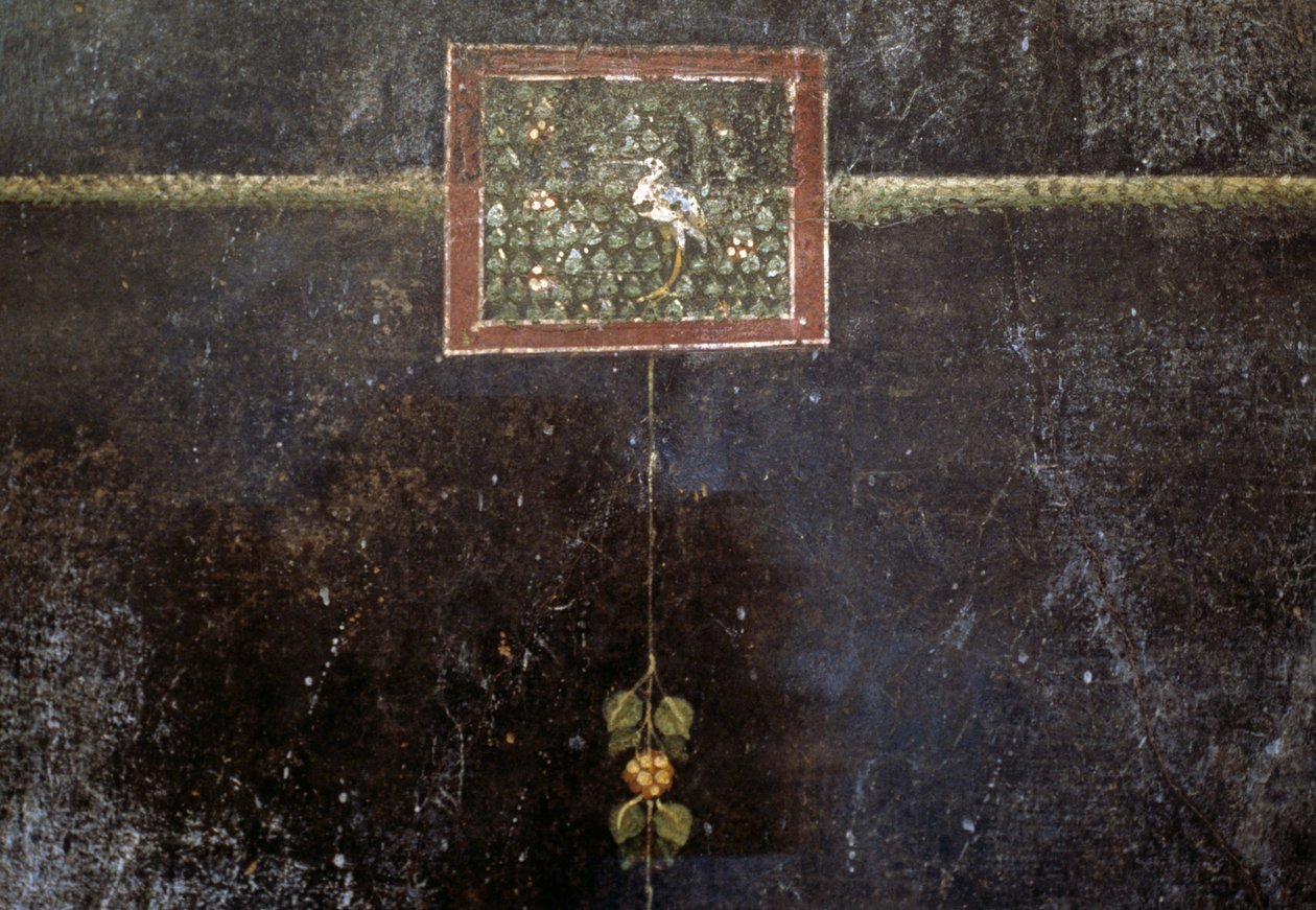 Fresky z Villa Dei Misteri od Roman