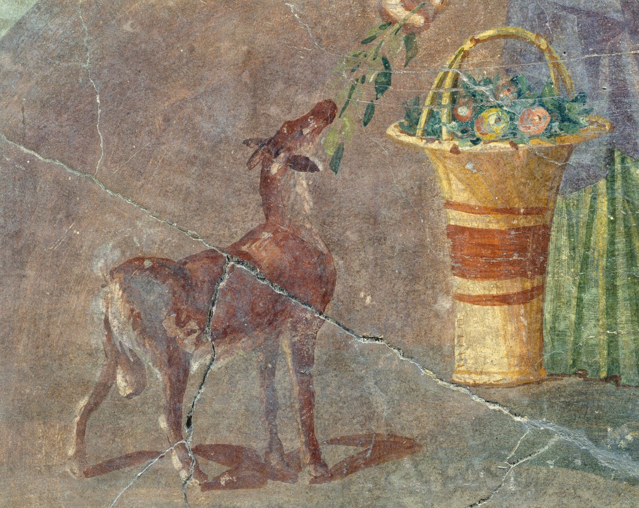 Koza a košík ovoce, freska z Pompejí, Kampánie, Itálie, římská civilizace od Roman