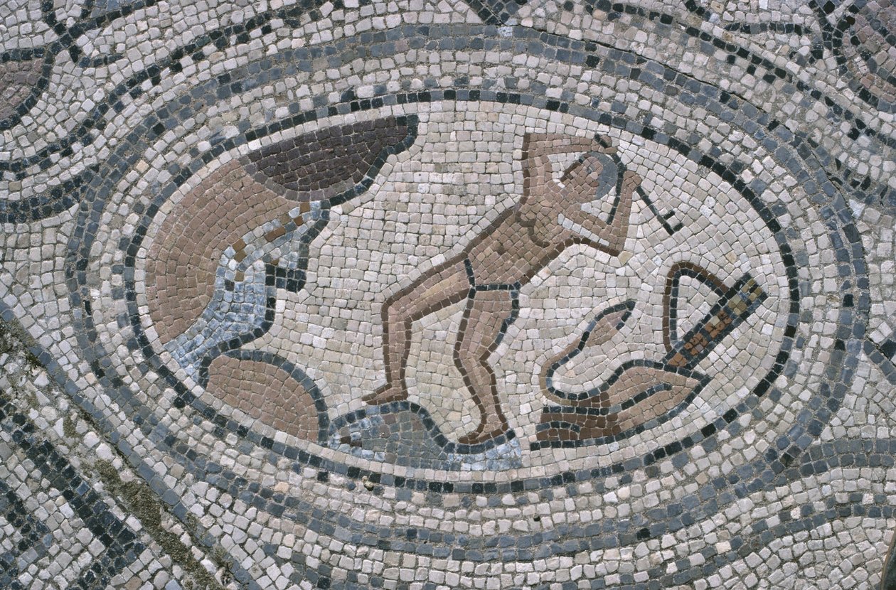 Herkules a Augiášovy stáje, z podlahy "Herkulova domu" (mozaika) od Roman