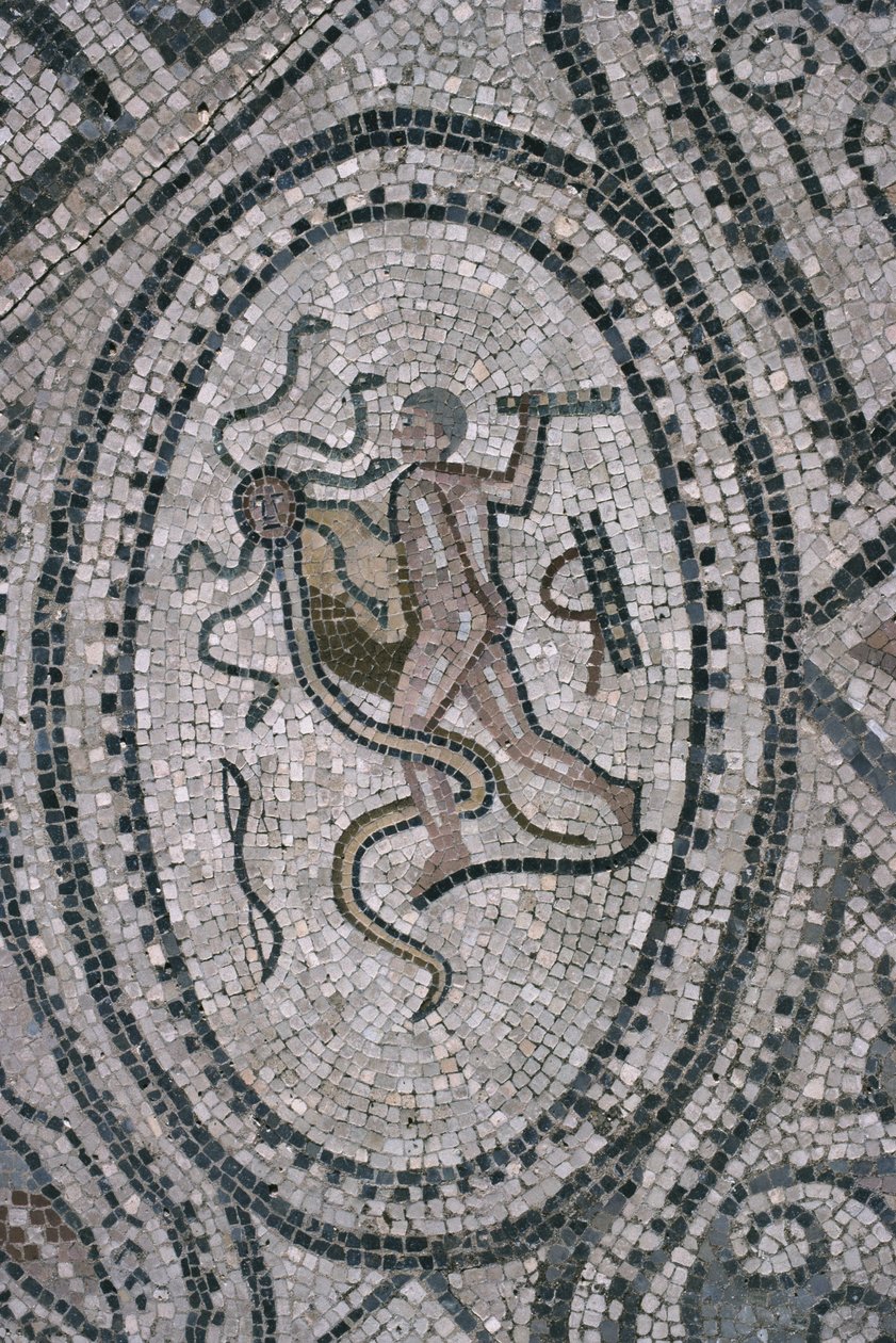 Herkules a lernská hydra, z podlahy "Herkulova domu" (mozaika) od Roman