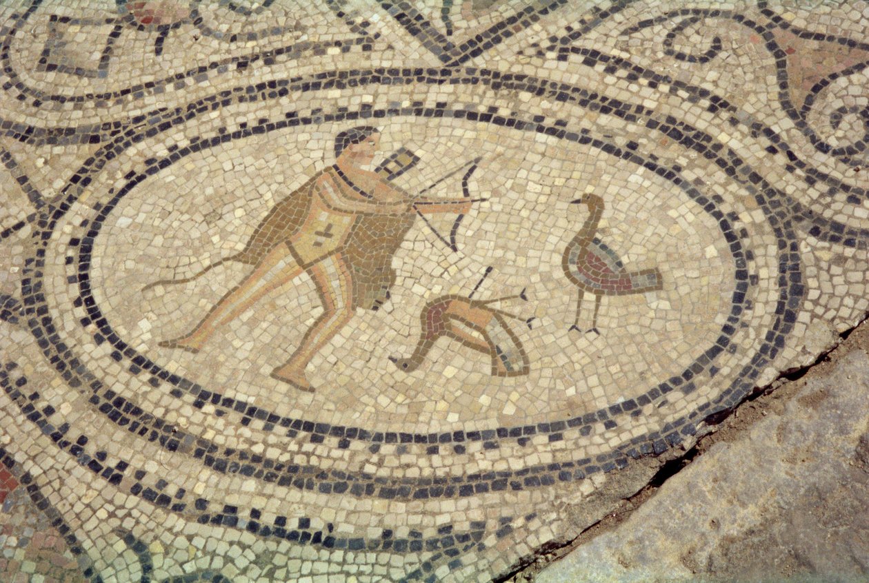 Hercules a Stymphalian Birds, z podlahy 