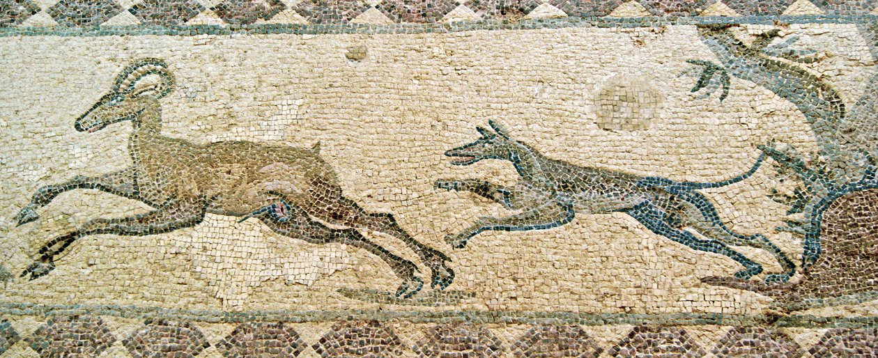 Lovecká scéna, Dionýsův dům, Pafos, Kypr (mozaika) od Roman