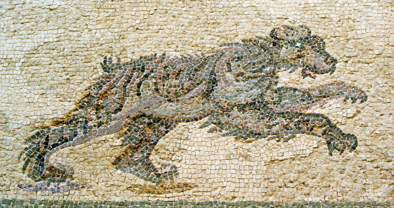 Lovecká scéna, detail medvěda, Dionysův dům, Paphos, Kyperská mozaika od Roman