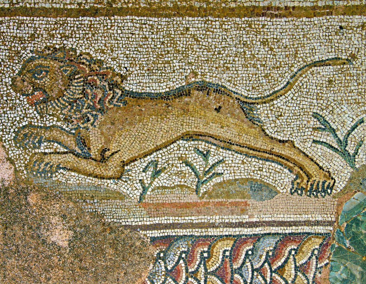 Lovecká scéna, detail lva, Dionysův dům, Paphos, Kyperská mozaika od Roman