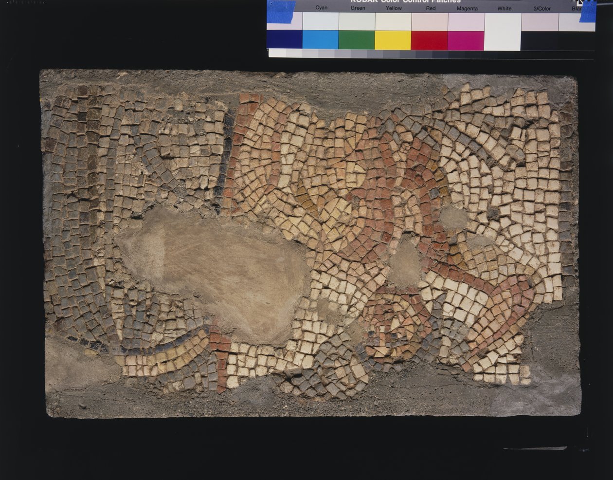 Mozaika z domu Menandrů s Zeus, 3. - 4. století (vápenec a mramorové tessery) od Roman