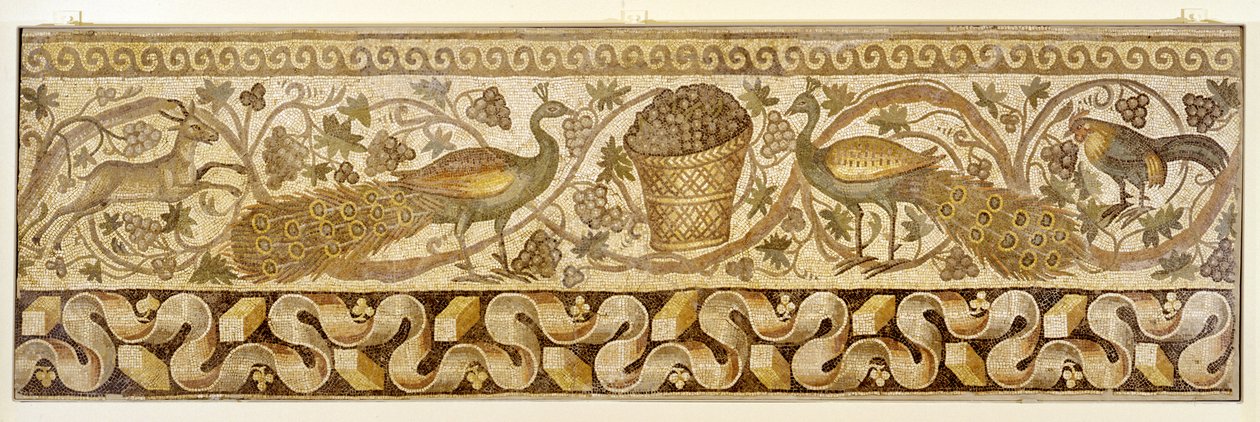 Mosaic of a Vine Scroll Border with Peacocks, Antioch, 526-540 od Roman