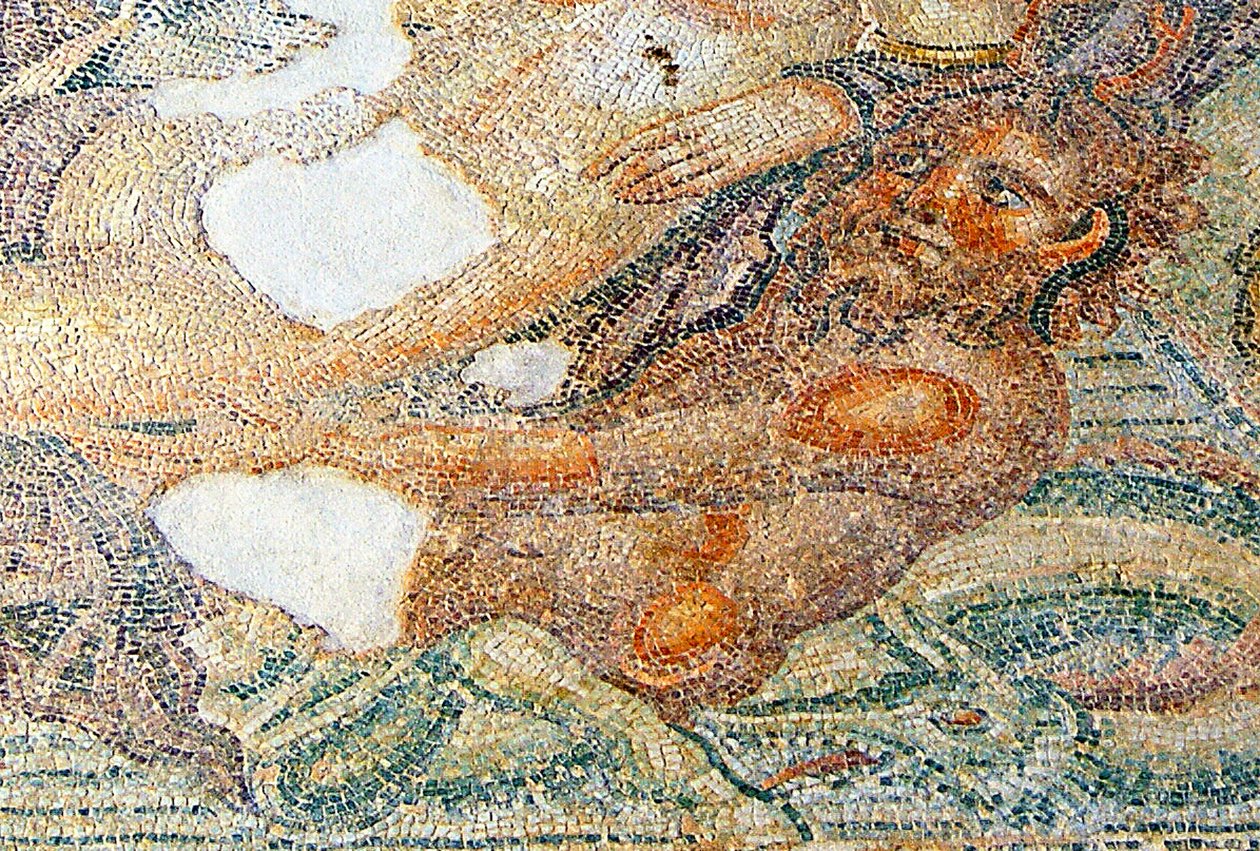 Nereides a Bythos, detail Bythos, Dům Aion, Paphos, Kypr mozaika od Roman