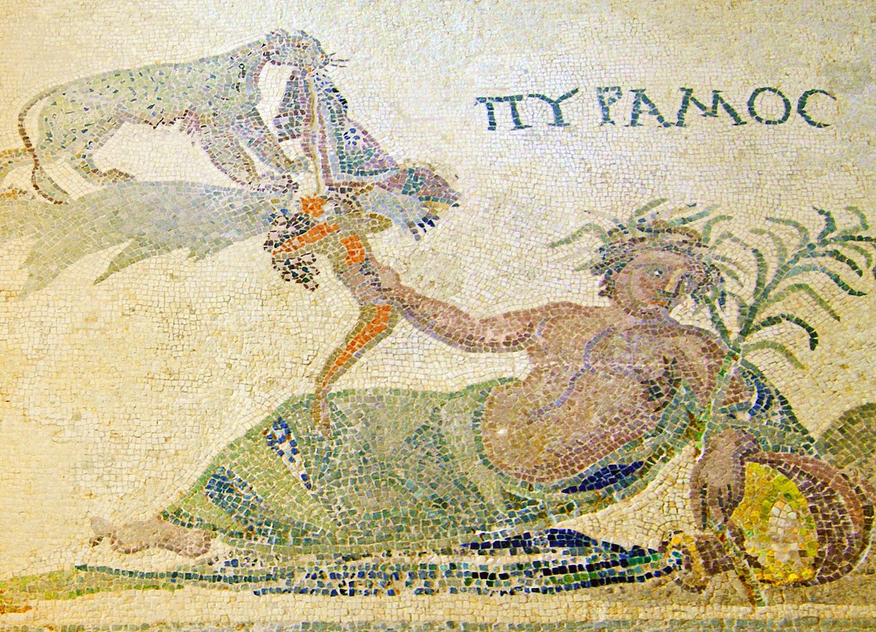 Pyramus a Thisbe, detail Pyramus a leopard, Dům Dionysos, Paphos, Kyperská mozaika od Roman