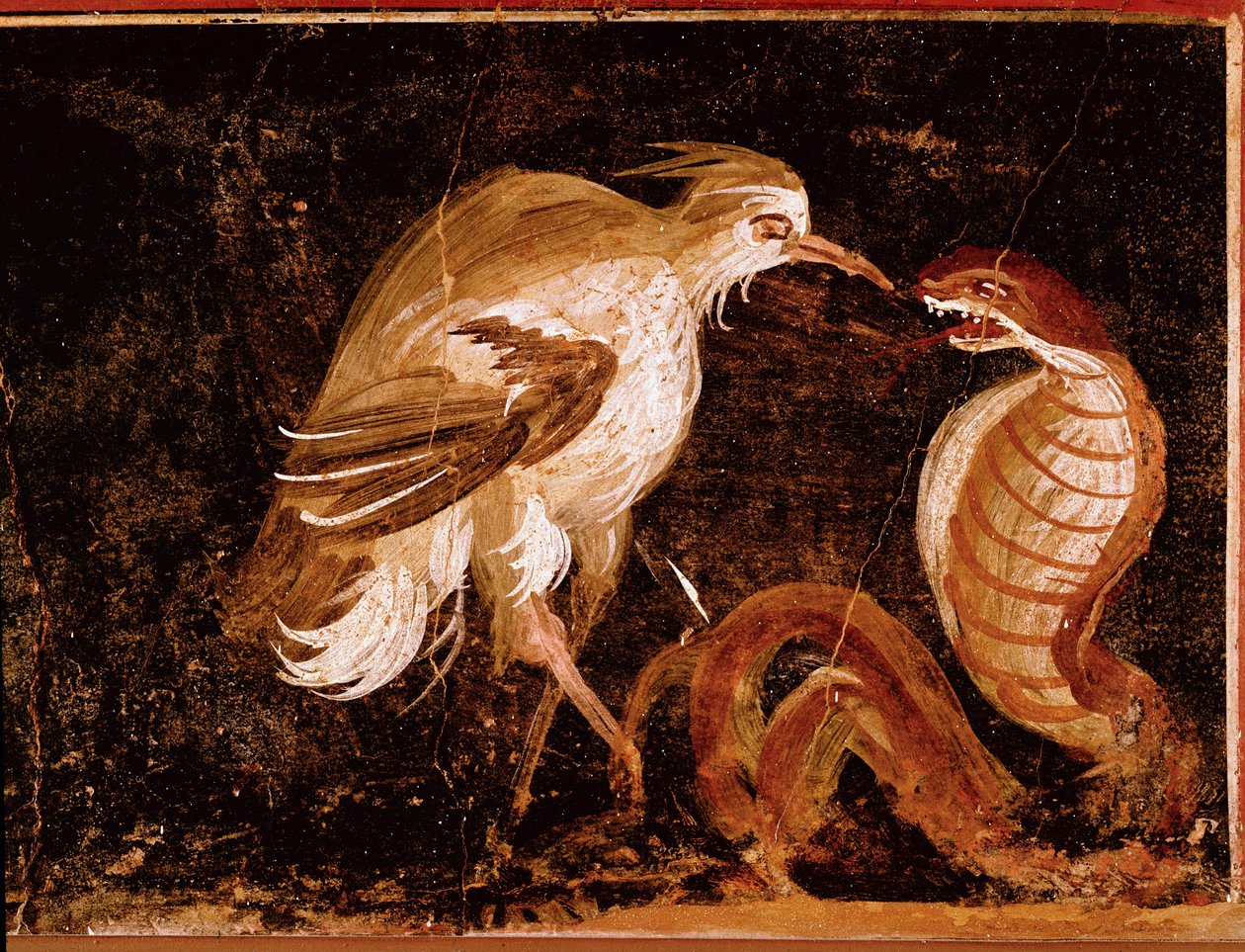 Římské umění: “” Boj mezi volavou a kobrou”” Římská freska z domu Epigramů, Pompeje, Itálie (Boj mezi volavou a kobrou, freska z casa degli Epigrammi, Pompeje) 60-80 n.l. od Roman