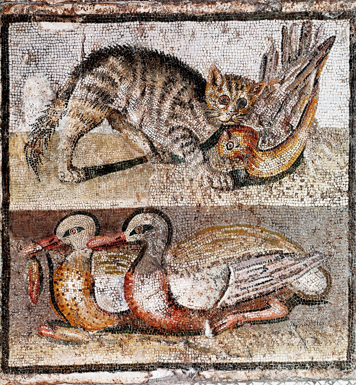 Římské umění: mozaika zobrazující divokou kočku chytající koroptev a dvě kachny. 200-150 před naším letopočtem. Řím, Museo Nazionale Romano - římské umění: mozaika zobrazující divokou kočku chytající koroptev a dvě kachny. 200-150 před naším letopočtem. Mu od Roman