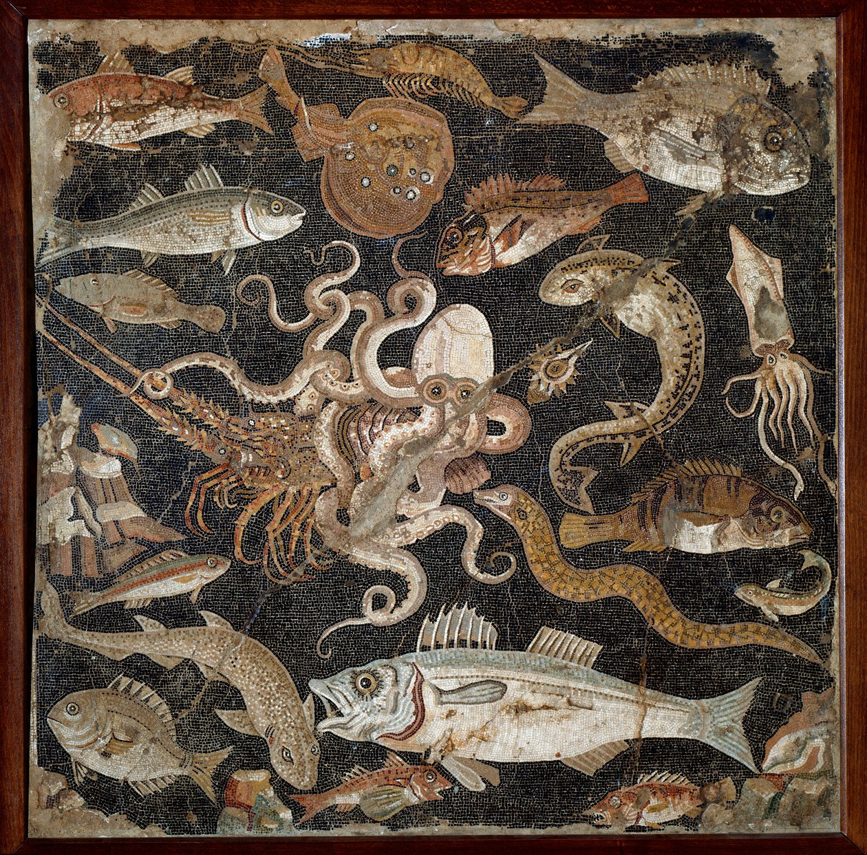 Římské umění: „“Mořská fauna““ Mozaika 2. století. Neapol, Museo Archeologico Nazionale, inv. 120177 - Římské umění: Podmořský život. Mozaika z 2. století před naším letopočtem. Národní archeologické muzeum, inv. 120177, Neapol, Itálie. od Roman