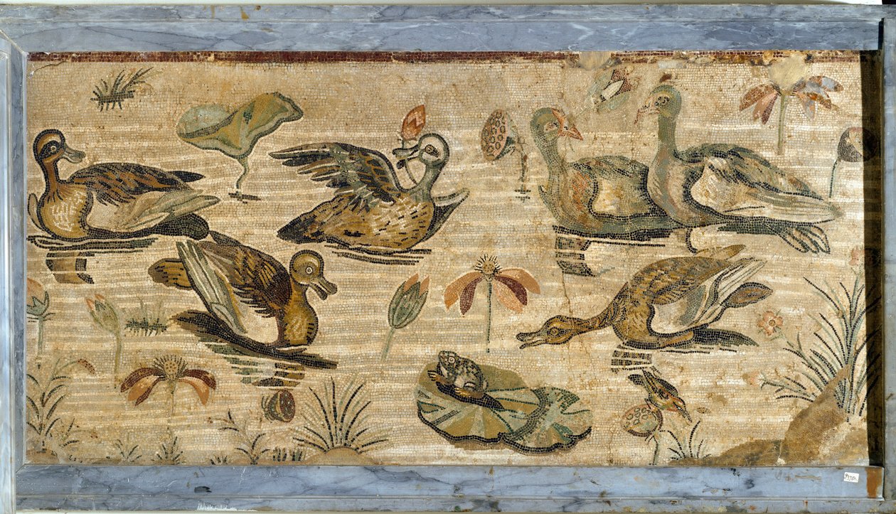 Římské umění: kachna, žába a lekníny v jezírku. Mozaika z vily fauny v Pompejích. 1. století. Ztlumit. Rozměry 132 x 164 cm. Museo Archeologico Nazionale, Neapol od Roman