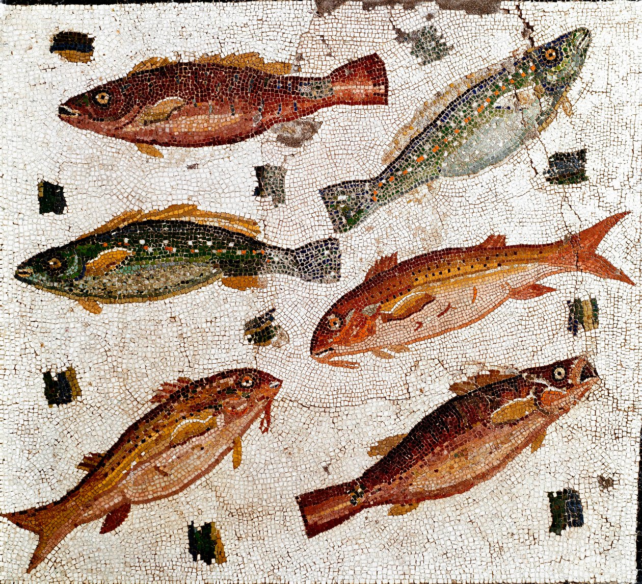 Římské umění: mozaika představující ryby. 1. století před naším letopočtem. Řím, Museo Nazionale Romano - římské umění: Mozaika zobrazující ryby. 1. století před naším letopočtem. Museo Nazionale Romano, Řím, Itálie od Roman