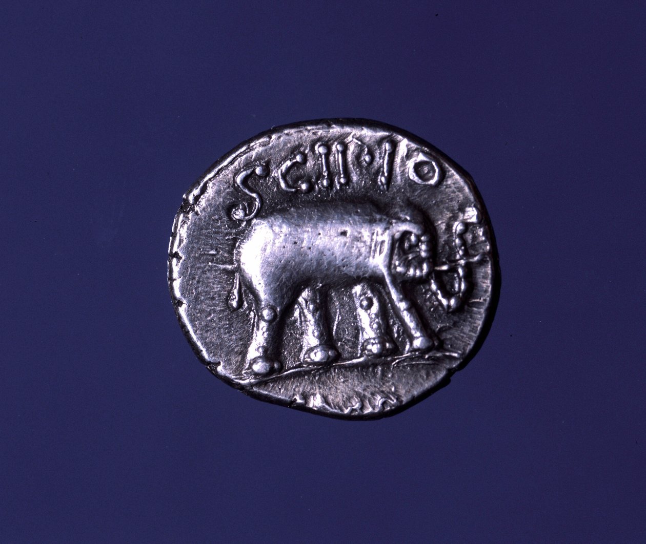Stříbrná mince představující slona, fetiche zvíře Scipionů. Lucius Caecilius Metellus se zmocnil kartáginských slonů v roce 251 před naším letopočtem. 47-46 před naším letopočtem. od Roman