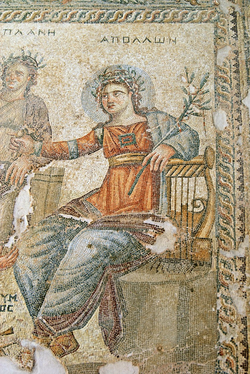 Mozaika Apollo a Marsyas, detail Plinius a Apollo, House of Aion, Paphos, Kypr mozaika od Roman