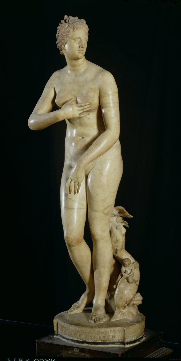 Medicejská Venuše, kopie helénistického originálu od Praxiteles (cca 370-330 př.nl) (mramor) od Roman