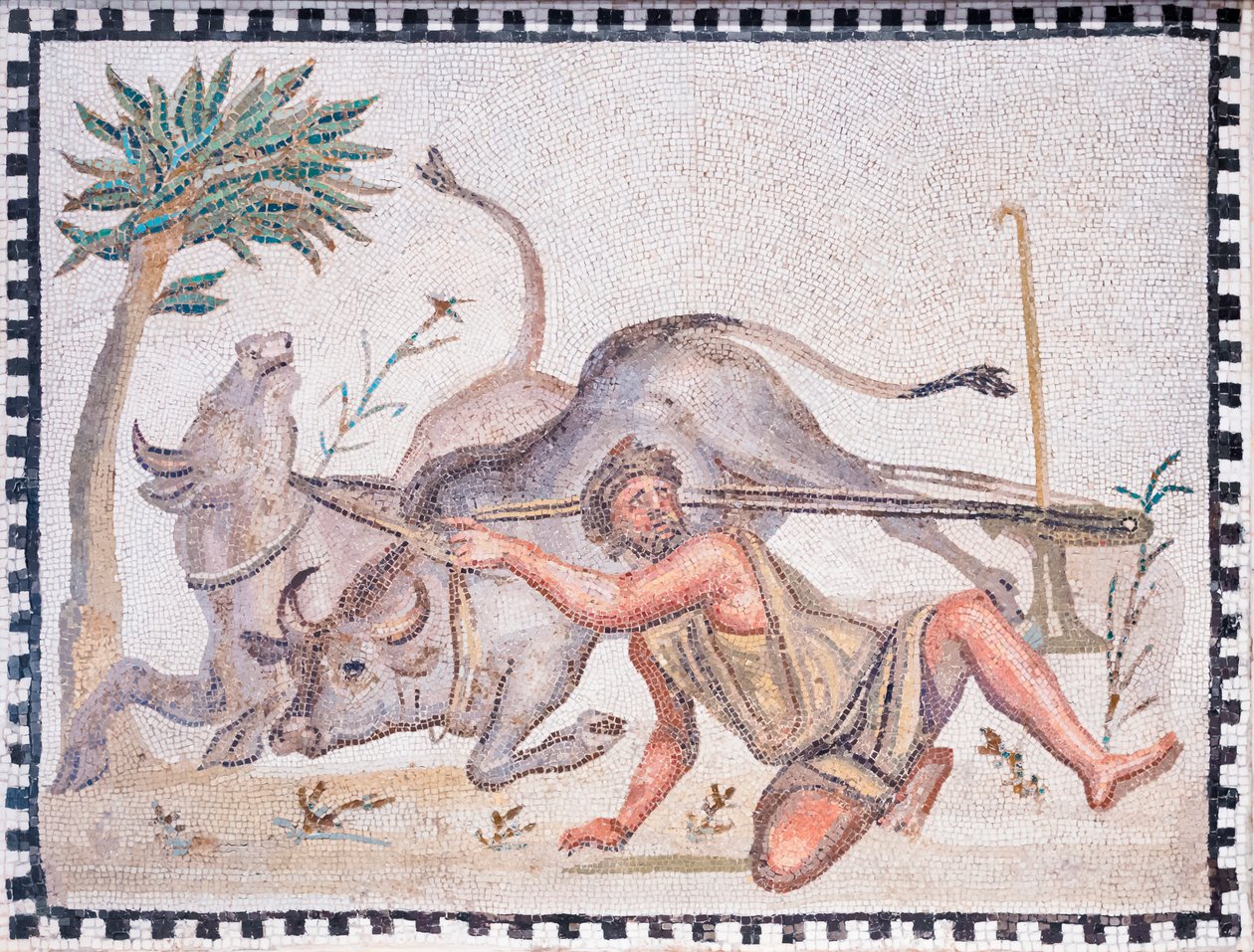 Oráč s voly, 3.-4. století (mozaika) od Roman