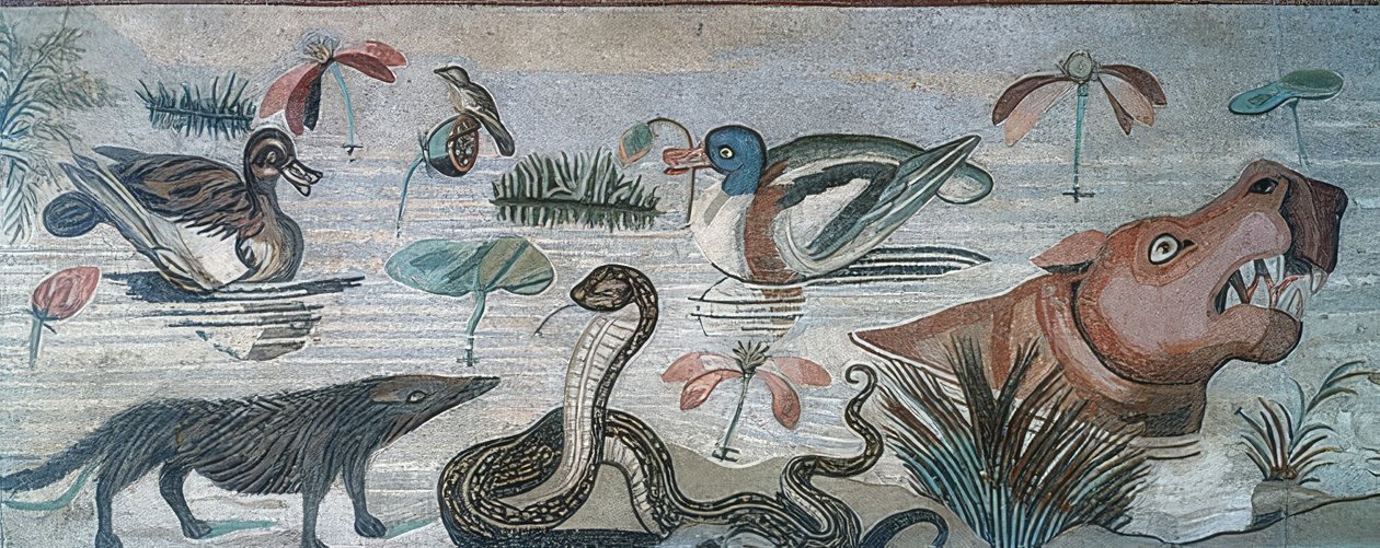Zvířata v Nilu, z Faunova domu (Casa del Fauno), Pompeje od Roman