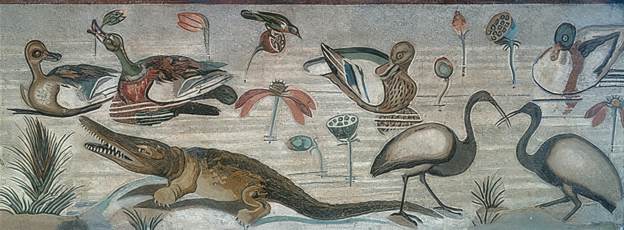 Zvířata na Nilu, z domu Faunů (Casa del Fauno), Pompeje od Roman