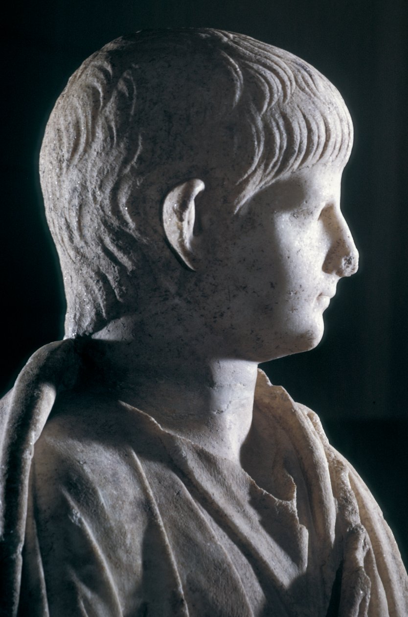 Socha Togate mladého Nera, boční pohled na hlavu, cca 50 nl (mramor) (detail 140378) od Roman
