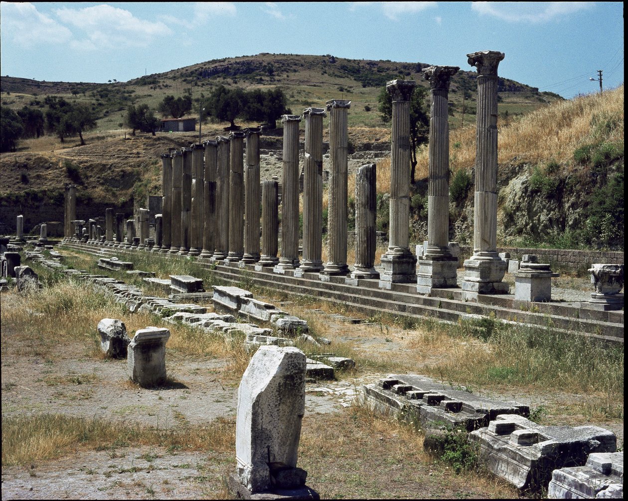 Pohled na svatyni Asclepios (283 až 133 př.nl) od Roman