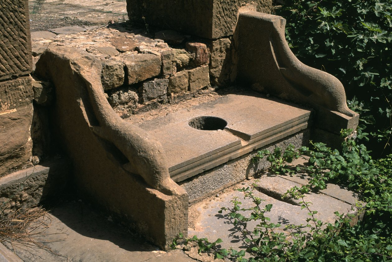 Dolphin armest veřejné WC fóra; Vrcholné císařské období (27 př. n. l. – 395 n. l.) od Roman Imperial Period