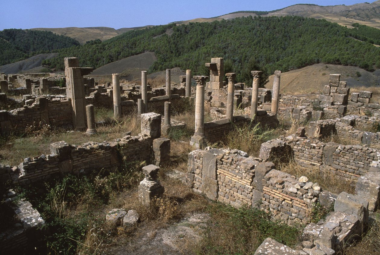 Pohled na obytnou oblast, vrcholné císařské období (27 př. nl-395 n. l.) od Roman Imperial Period