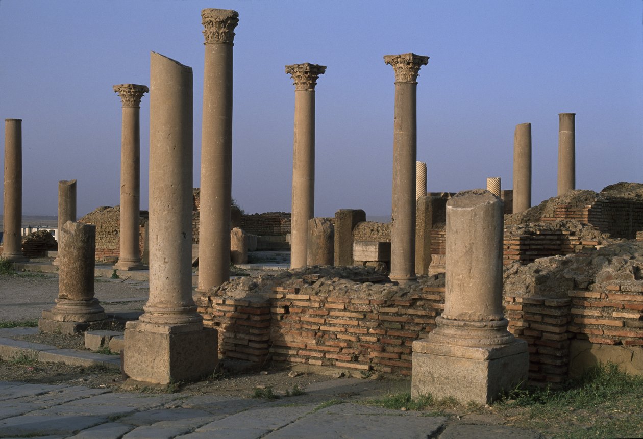 Pohled na knihovnu, cca 100 n. l., vrcholné císařské období (27 př. n. l. – 395 n. l.) od Roman Imperial Period