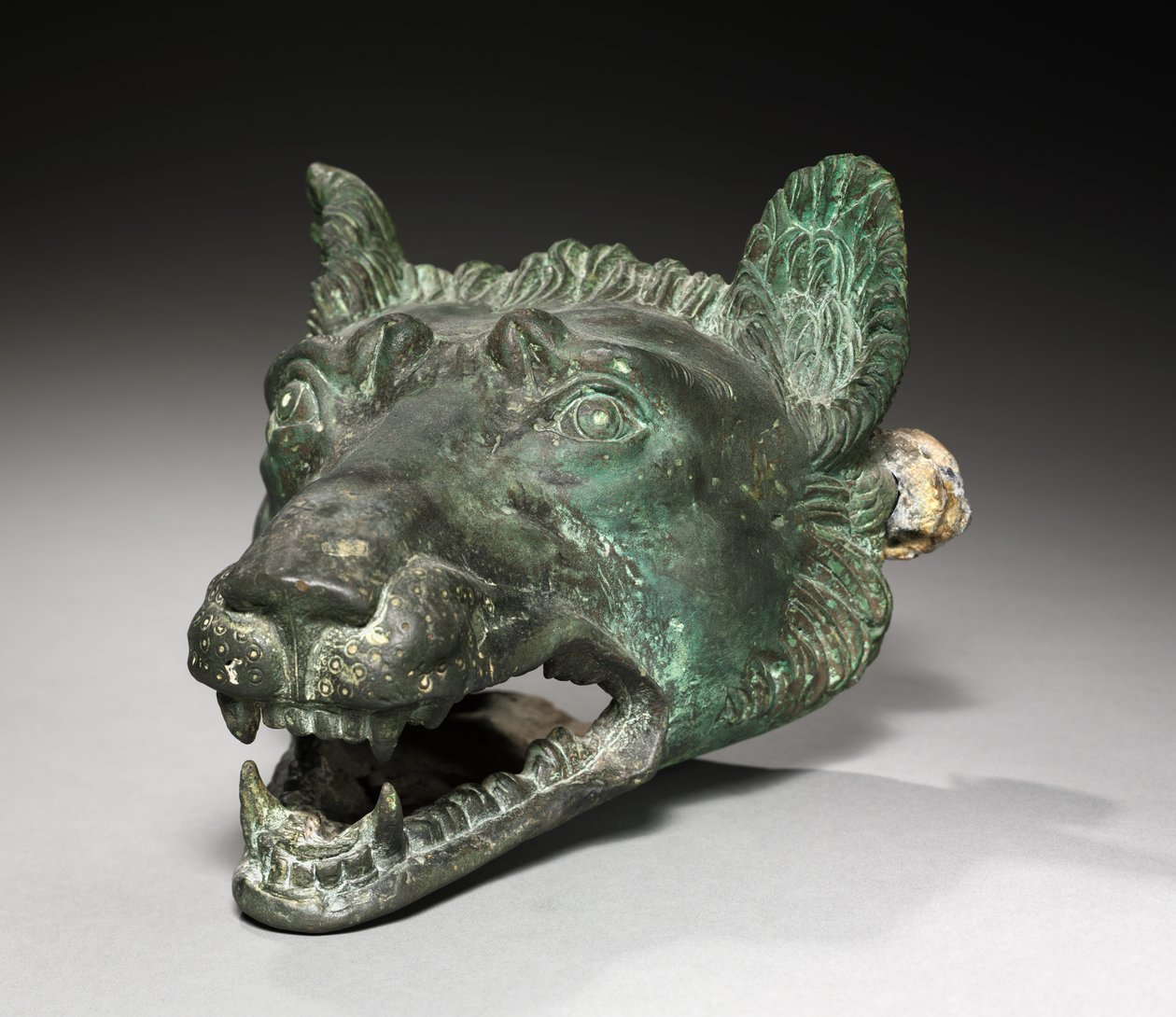 Upevnění člunu Wolf-Head, 1-200 od Roman Imperial Period