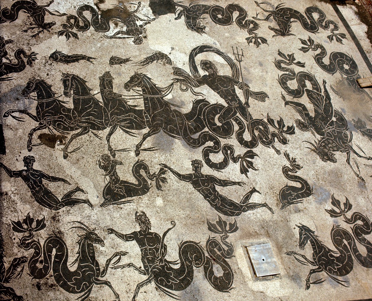 Starověká Ostia (Ostia). Mozaika Neptunových podmínek na jeho nádrži obklopené delfíny a mořskými příšerami od Roman Roman