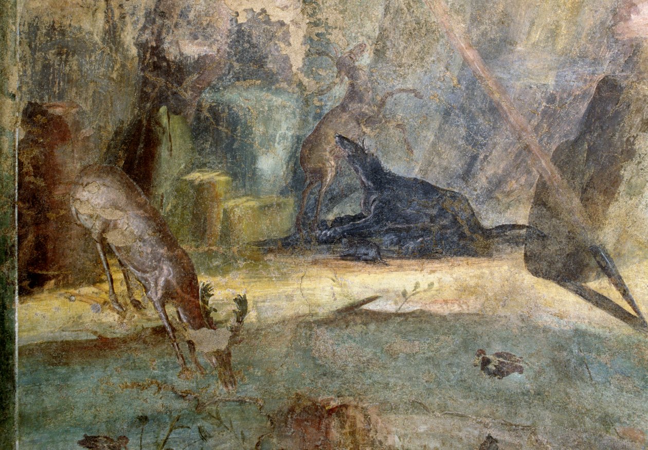 Jelen napadený psem, detail z Actaeonu pohlcený jeho psy, freska z domu Menandrů v Pompejích (Seznam světového dědictví UNESCO od Roman Roman