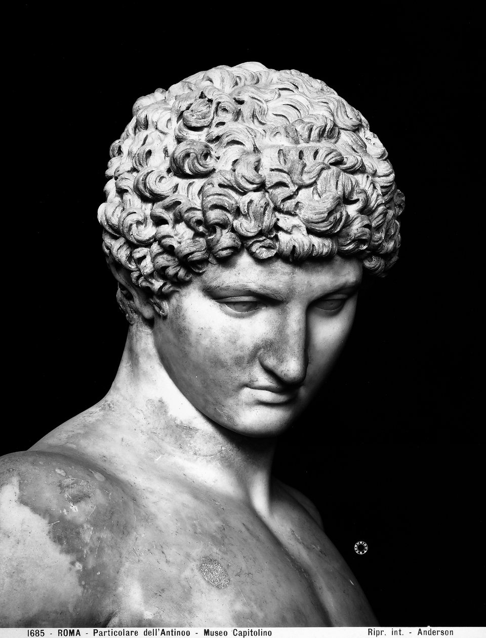 Detail Antinouse (mramor) od Roman Roman