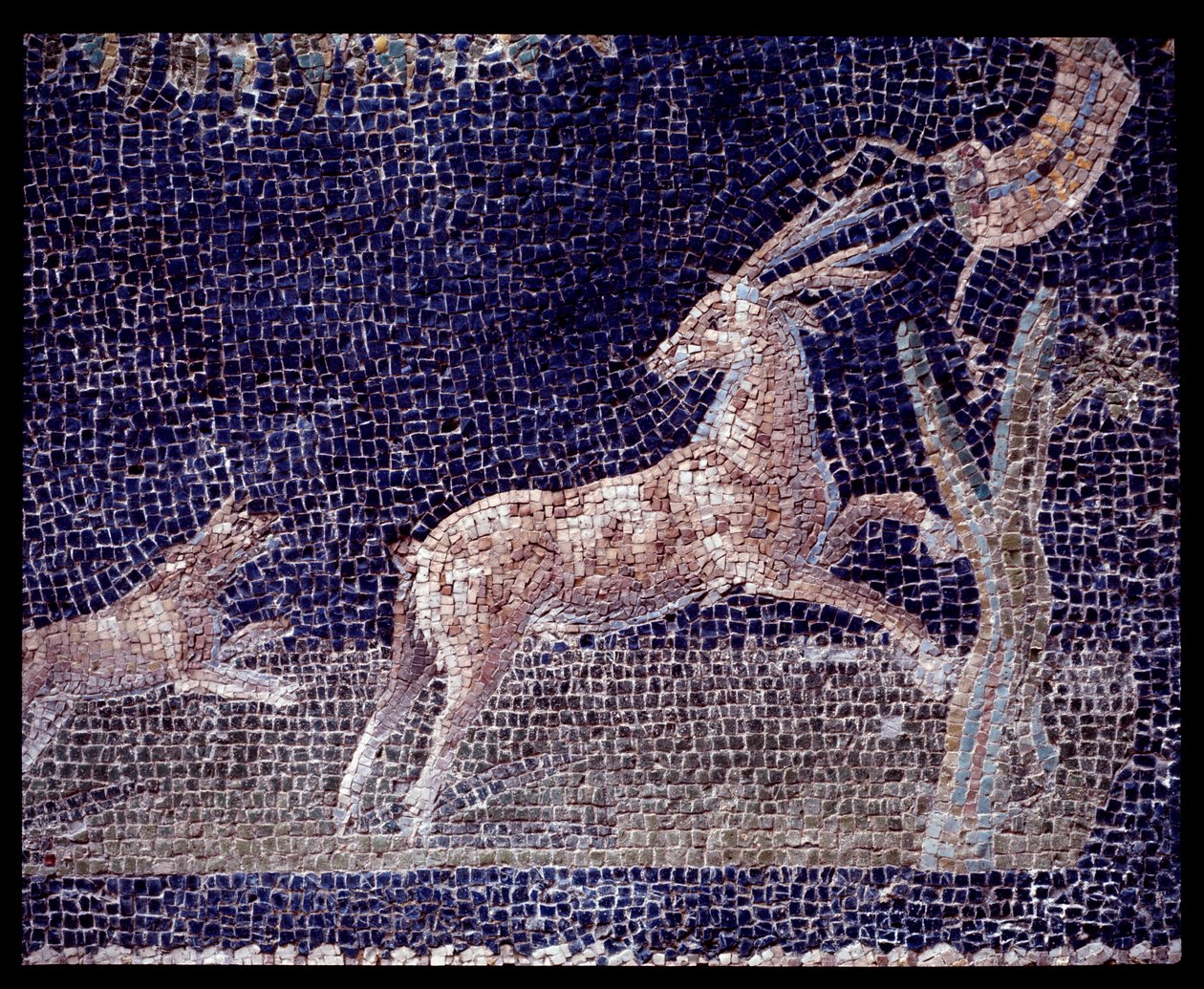 Detail nástěnné mozaiky nymfea casa di Nettuno e Anfitrite, 5. století př. n. l. - 1. století našeho letopočtu od Roman Roman