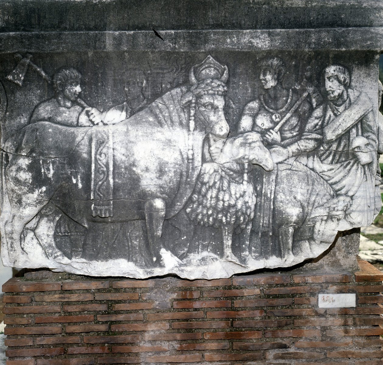 Foro Romano: Suovetaurilia (obět vepře, berana a býka). Řím od Roman Roman