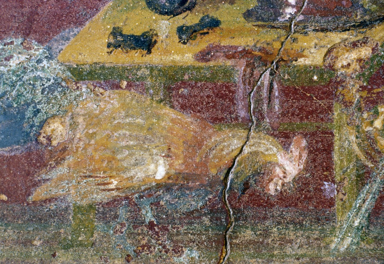 Fresco, House of Vettii, Pompeje (Seznam světového dědictví UNESCO od Roman Roman