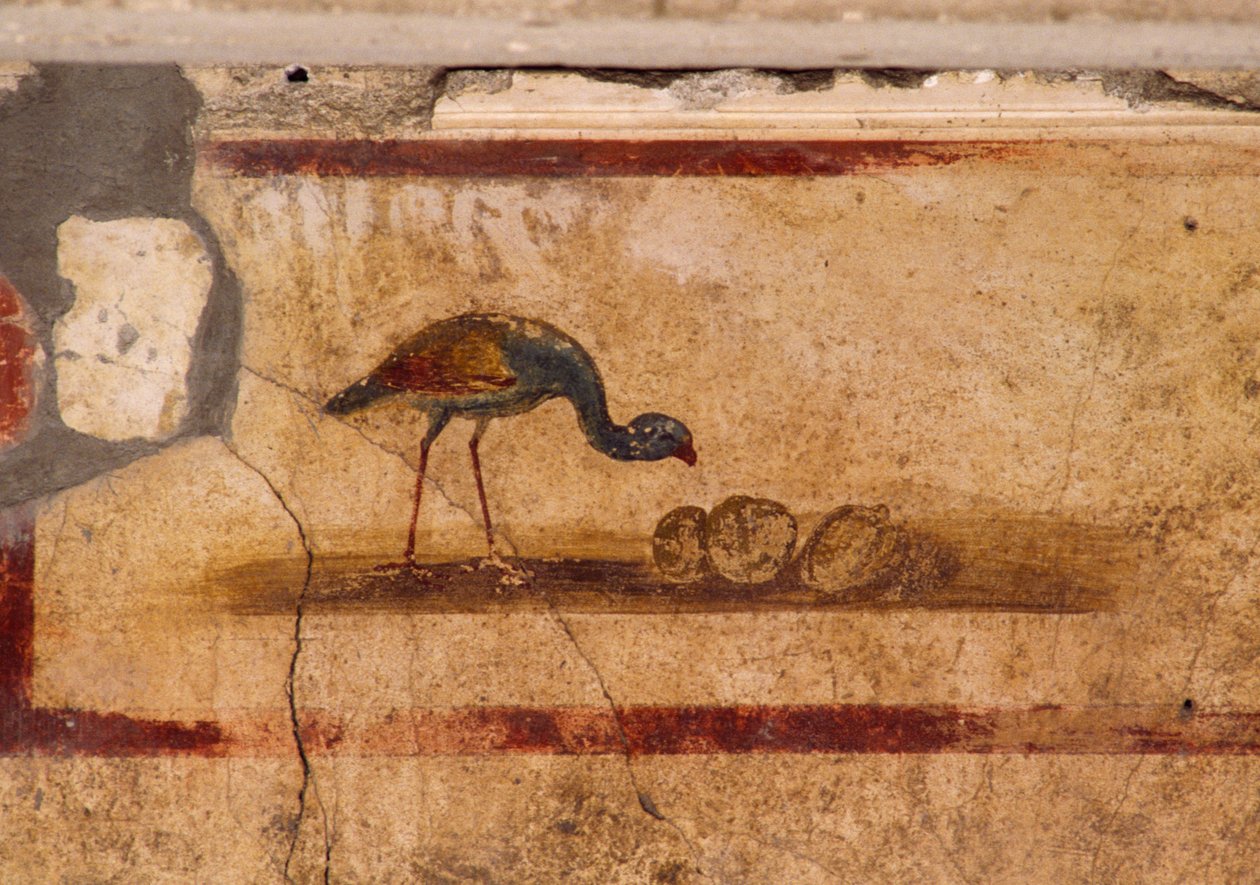 Fresko, joka kuvaa lintua peristyliumista Caius Julius Polybiuksen talossa Pompejissa (UNESCOn maailmanperintöluettelo) od Roman Roman