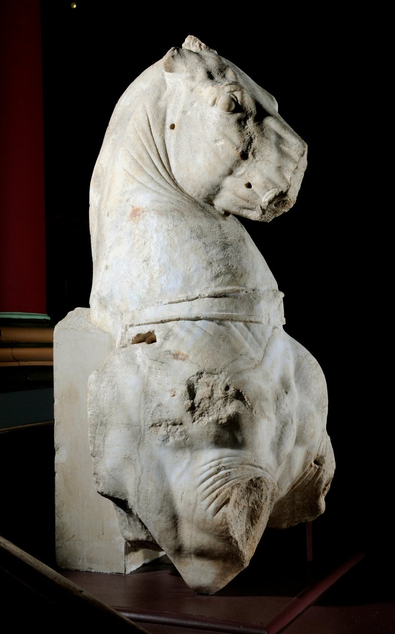 Přední část koně (mramor) (viz také 371183 & 371184) od Roman Roman