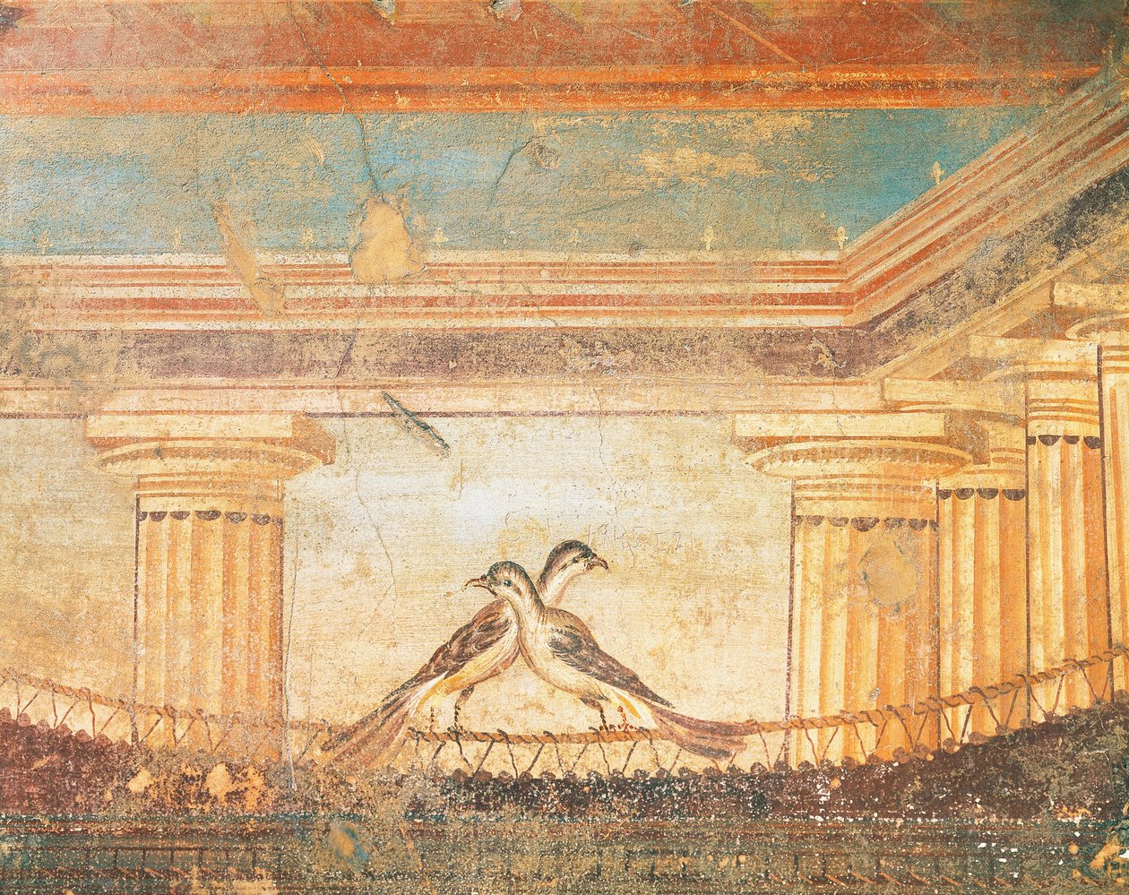 Hera Sannita fresko lintuja, Labyrinth House, Pompeii, Campania, roomalainen sivilisaatio od Roman Roman