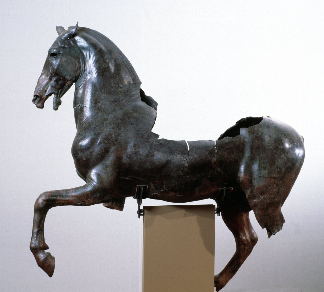 Kůň (bronzová socha podle řeckého originálu ze 4. století před naším letopočtem) od Roman Roman