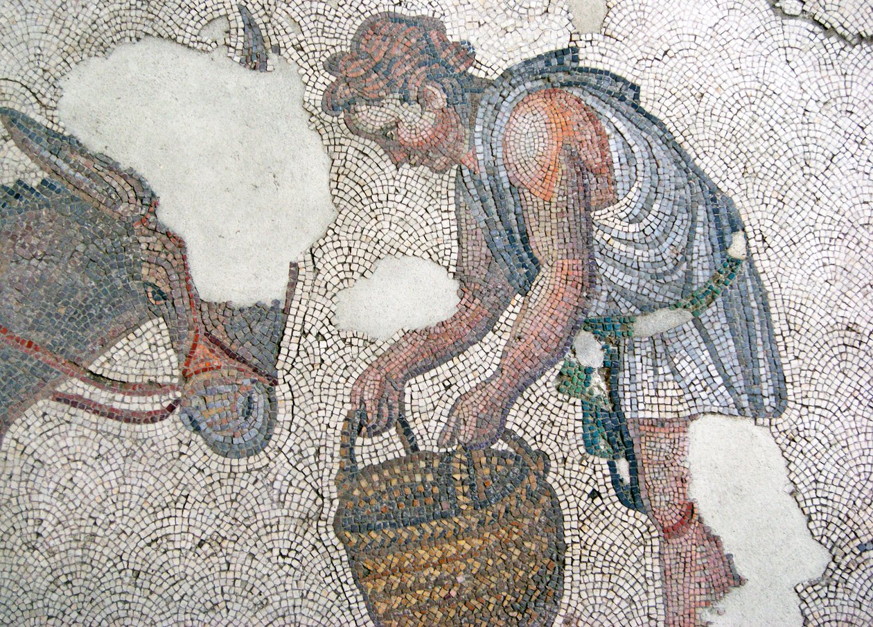 Mozaika zobrazující muže krmícího svého mezka, bazar Arasta, mešita sultána Ahmeta, Istanbul. od Roman Roman