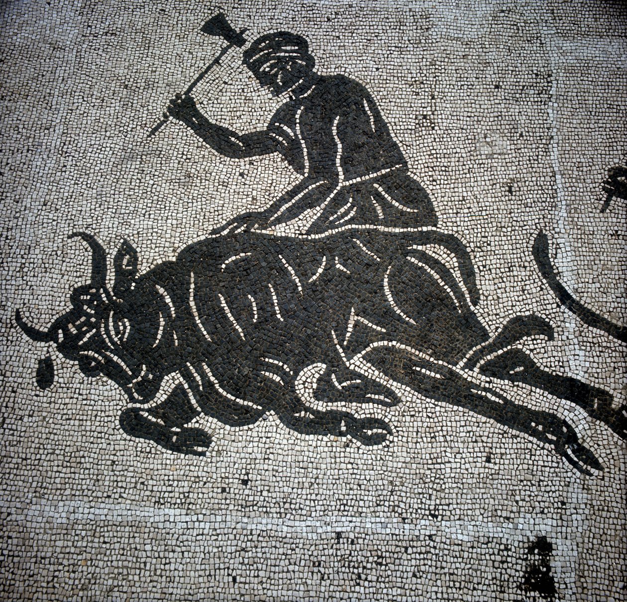 Mozaika zobrazující scénu porážky býka nalezená v Ostii (Ostia) (nedaleko Říma). V současné době zachována v bývalé hasičské síni Ostia. od Roman Roman