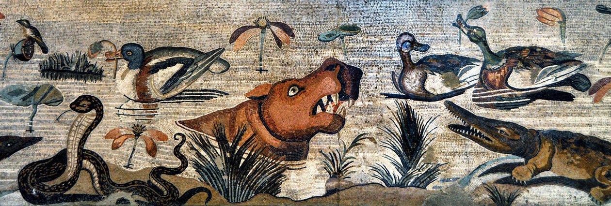 Mozaikový vlys z Pompejí (dům fauny, casa del Fauno - nilotická scéna - život zvířat na Nilu: hroch, krokodýl, had, kachny - římské umění - Archeologické muzeum v Neapoli, Itálie - Museo Archeologico Nazionale, Neapol, Itálie - Foto Patrice Cartier - od Roman Roman